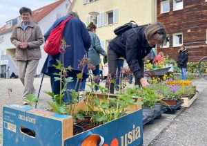 Neue Heimat für Setzlinge und Stauden